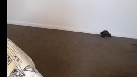 lucyylux  05-05-2022